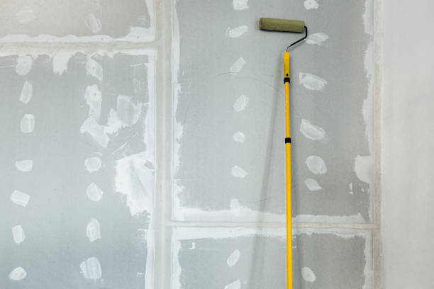 Best Drywall Patching  in USA